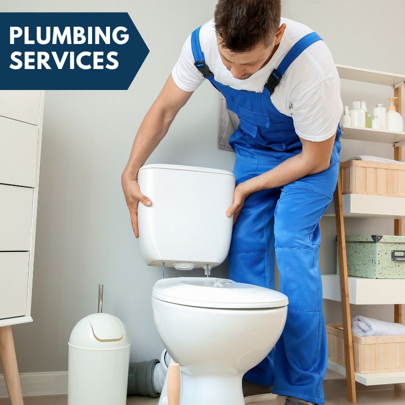 Plumbing Company in Troy Mills, IA